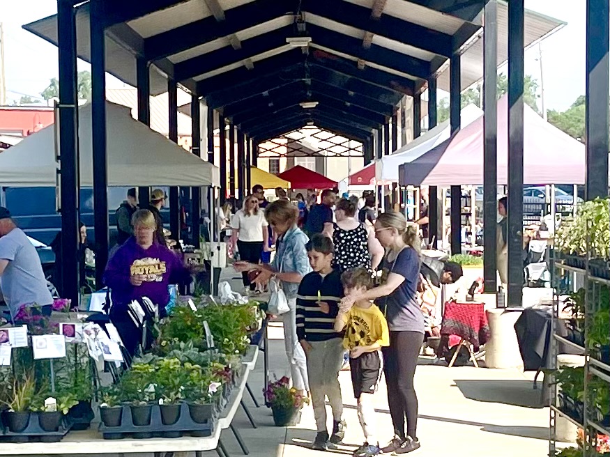 Friday at the Grand River Farmers Market
